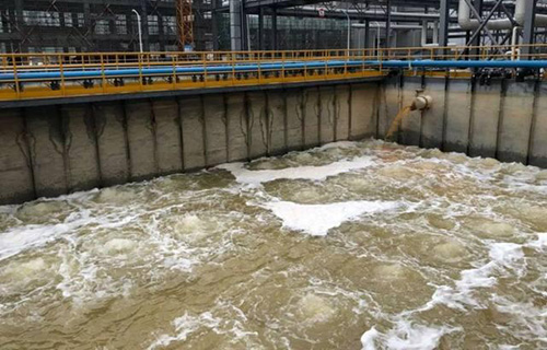 1702105865922731.jpg 未標(biāo)題-1.jpg